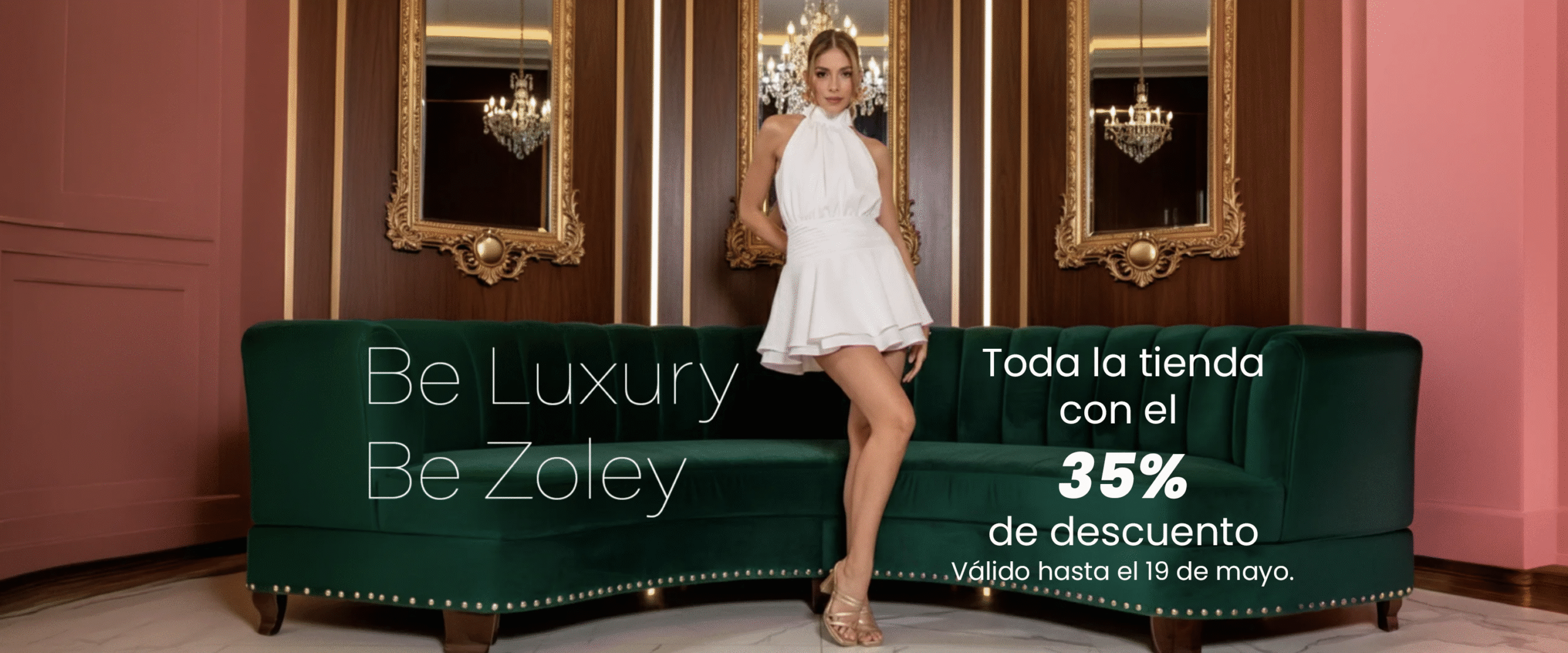 zoley banner
